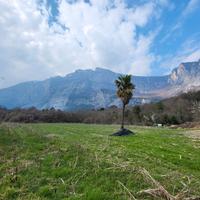 Terreni agricoli - Località Gaggio