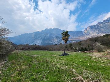 Terreni agricoli - Località Gaggio