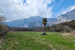 Terreni agricoli - Località Gaggio