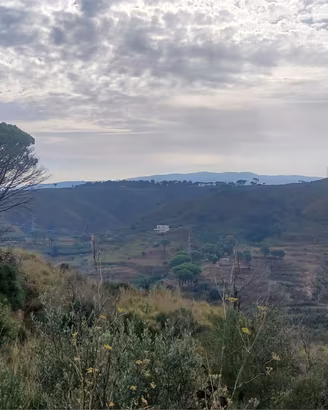 Castanea, terreno con rudere