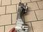 Immagine 1
