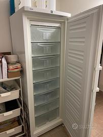 Congelatore liebherr