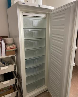 Congelatore liebherr