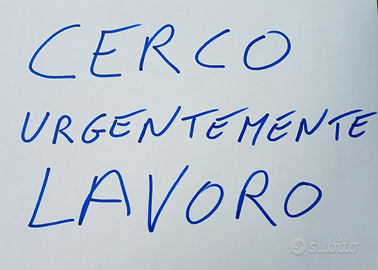 Disponibile per lavoro a turni da subito