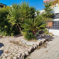 Locale di 200 mq con giardino