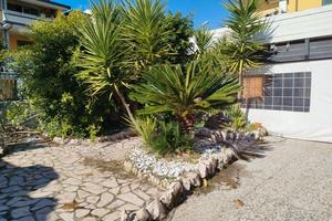 Locale di 200 mq con giardino