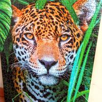 Puzzle JAGUAR IN THE JUNGLE 