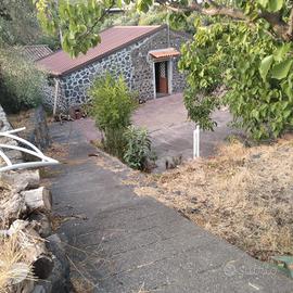  terreno agricola