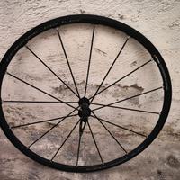 Campagnolo Shamal Mille c15