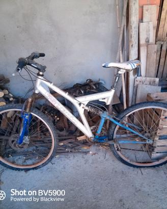Mountain bike