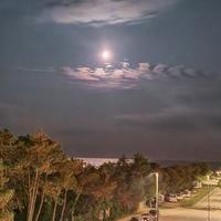 Monolocale vista mare - LIDO DEI PINI