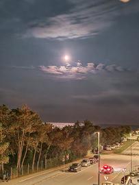 Monolocale vista mare - LIDO DEI PINI
