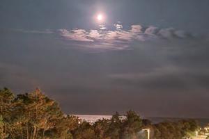 Monolocale vista mare - LIDO DEI PINI