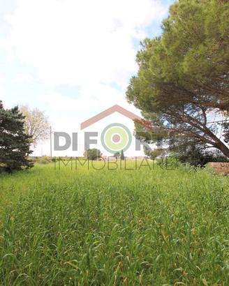 Terreno Direzionale in Contrada Cimillà