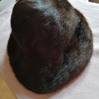 Cappello in pelliccia di visone scuro