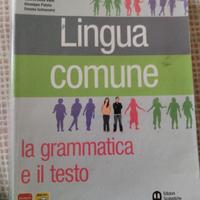 Libri scolastici 1 superiore informatica
