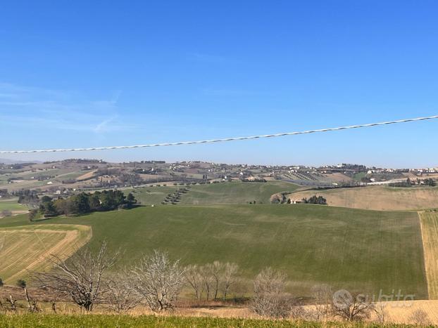 Terreno Agricolo - Recanati