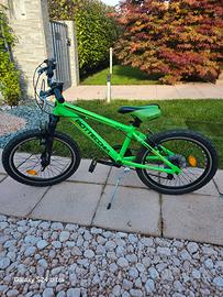 bici bottecchia 032