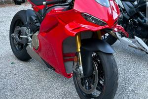 DUCATI PANIGALE V4 S