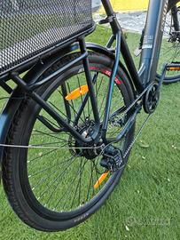 bicicletta a pedalata assistita 