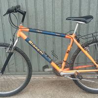 Bicicletta Mountain Bike