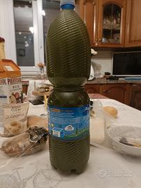 Olio di oliva dei Nebrodi Oro verde