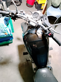Yamaha virago 250 cc. Bella come una Harley