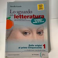 Lo sguardo della letteratura