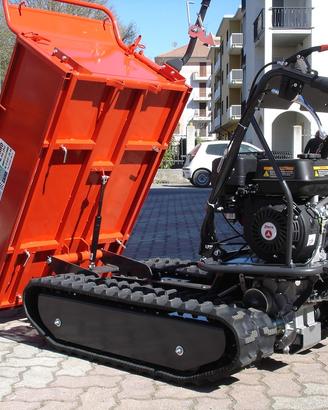 Motocarriola gior 600 zanetti agricola forestale