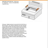 friggitrice professionale 