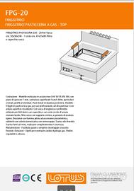 friggitrice professionale 