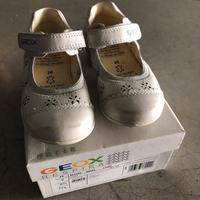 Scarpine Geox n26