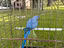 Immagine 6
