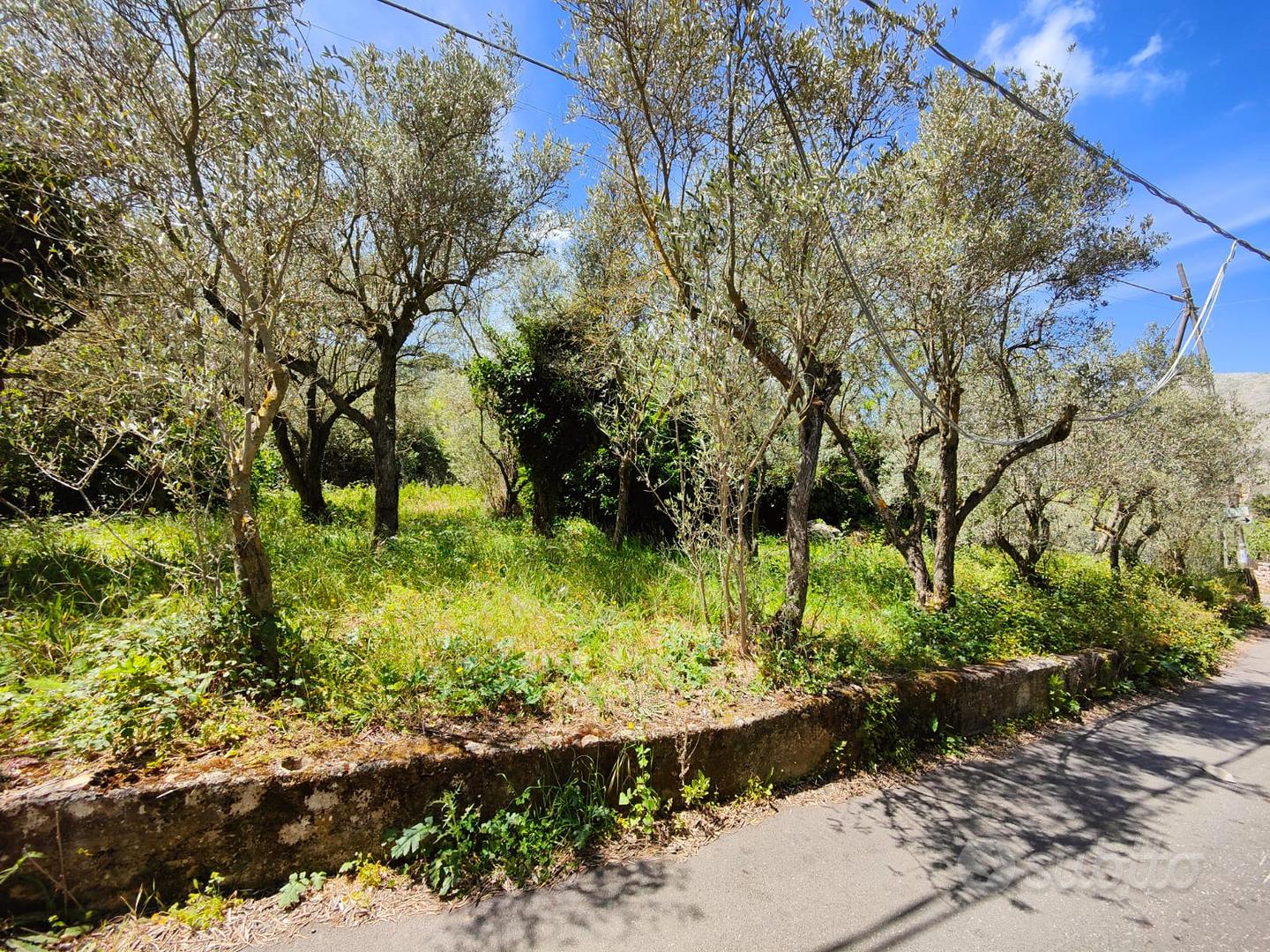 monreale/monte caputo ampi lotti di terreno - Vista 3