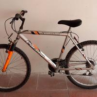 Bici per passeggiate