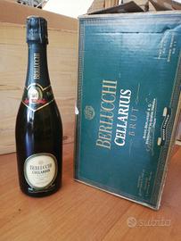 set 6 bottiglie spumante