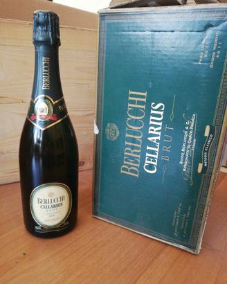 set 6 bottiglie spumante