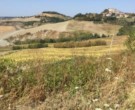 Terreno agricolo seminativo