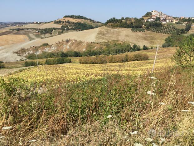 Terreno agricolo seminativo