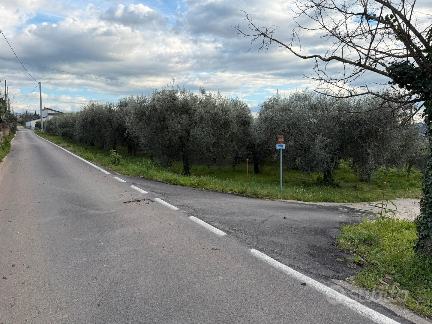 Terreno edificabile con uliveto 5.671 mq - Altro