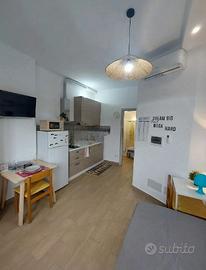 Labaro-prima porta monolocale libero da subito