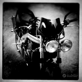 Speed triple 955i 2001