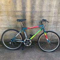 Mountain bike