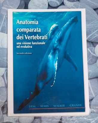 Anatomia comparata dei vertebrati