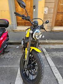 Ducati Scrambler 800 Icon MY 2019