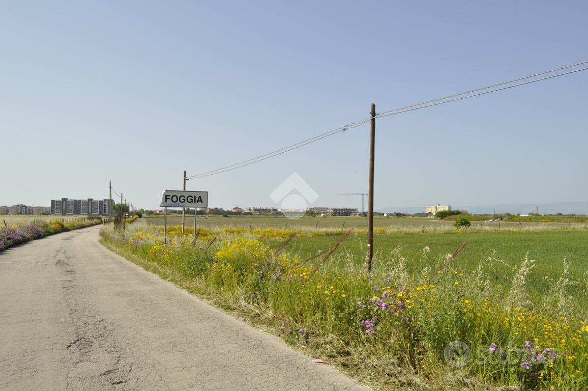 TER. AGRICOLO A FOGGIA - Altro