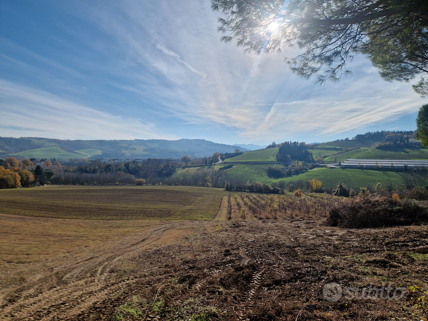 Terreno agricolo con edifici - Vista 6