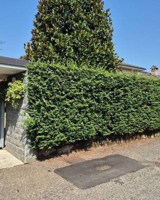 Villa di 300 m² con 4 locali e box auto doppio a L