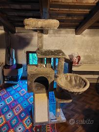 albero x gatti