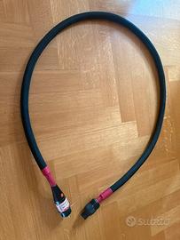 Mit Oracle Z III